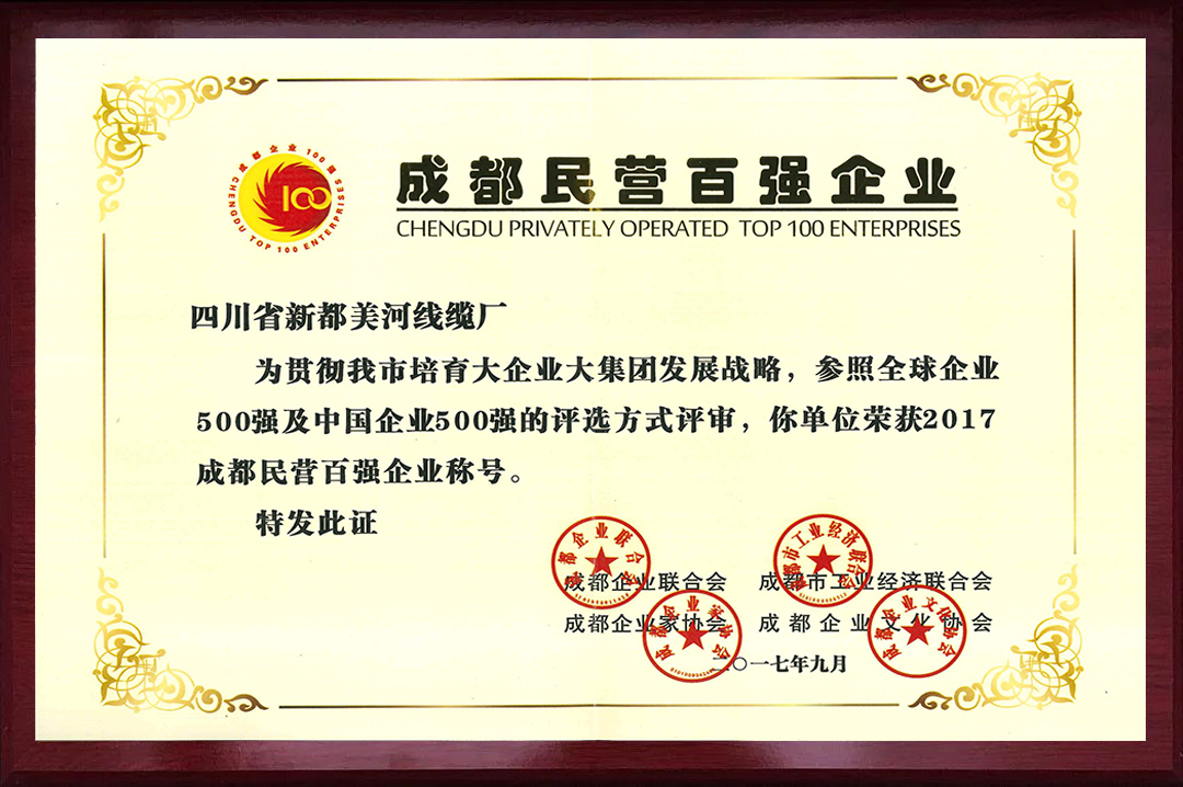 成都民营百强